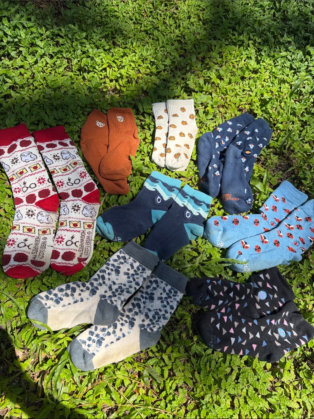 Conscious Step, Harry Potter, Assorted Brands Socks